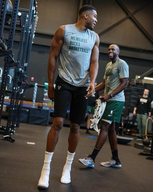 小组赛平均世界排名：荷、日所在F组最高，葡萄牙所在K组最低（各组平均世界排名对比：F组（荷、日）居首，K组（葡萄牙）垫底）